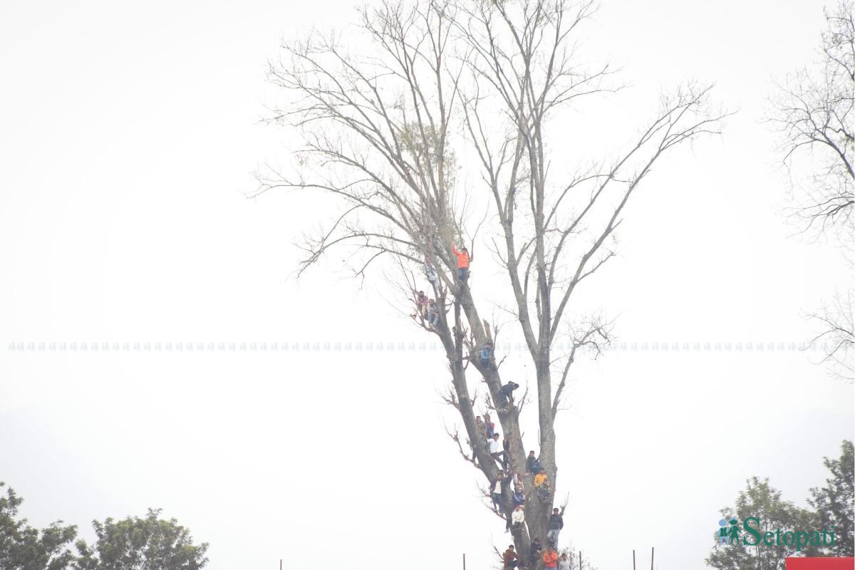 nepal vs namibia (28).jpeg